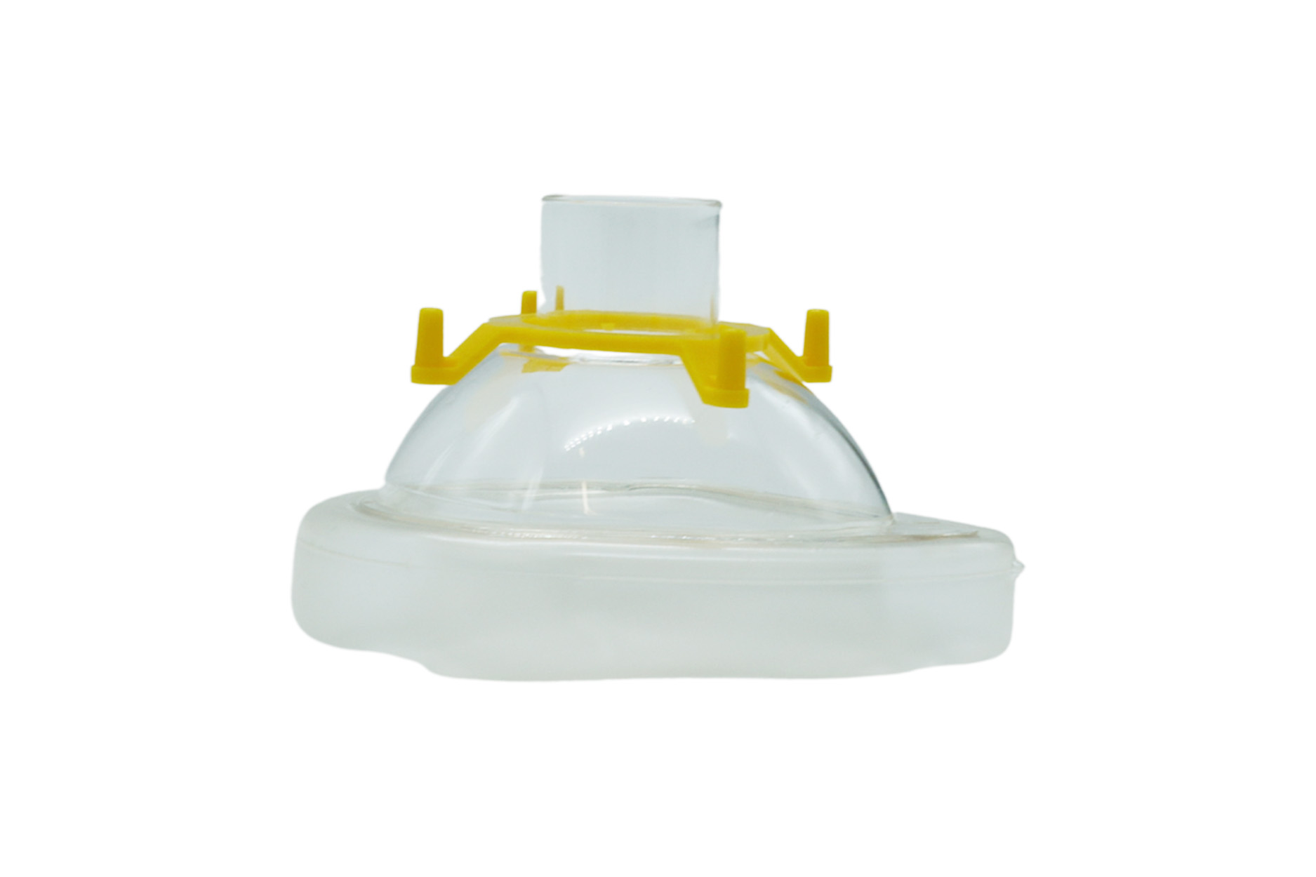Disposable Face Mask - Size 2 (Pediatric)