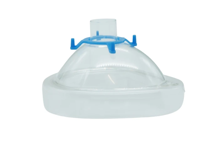 Disposable Face Mask - Size 5 (Large adult)