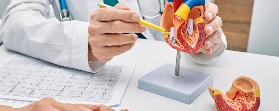 Cardiology and ECG