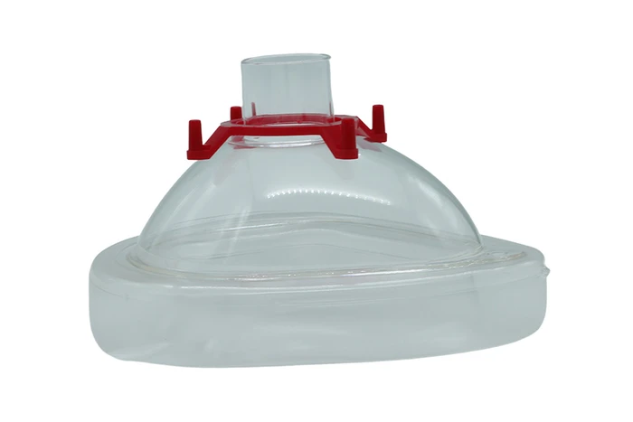 Disposable Face Mask - Size 4 (Small adult)